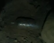 4-peice in situ.webp