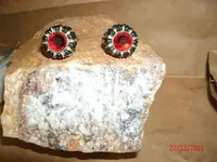 gold bug 007.webp