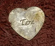 IMGP0015.webp