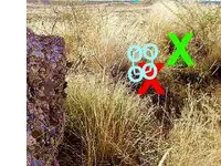 8._One_of_two_formaXcrop2.webp