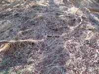 jan 012.webp