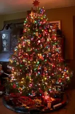 LR Tree.webp