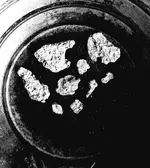 Nuggets 1.webp