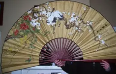chinese fan 001.webp