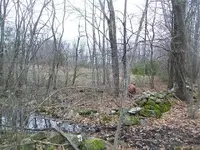 DEC 22ND 6 COPPER DAY 016.webp