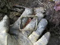 DEC 22ND 6 COPPER DAY 004.webp