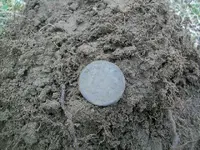 DEC 22ND 6 COPPER DAY 013.webp