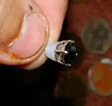 IMGP0010.webp