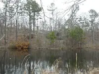 008.webp