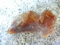 DSCF0012.webp
