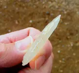 DSCF0080.webp