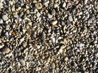 DSCF0016.webp