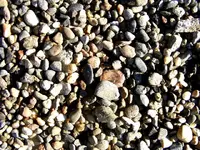 DSCF0009.webp