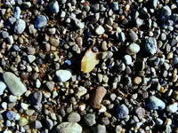 DSCF0027.webp