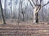 DEC 10TH HUNT BUTTONS 004.webp