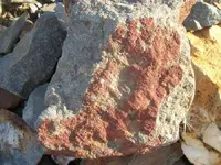 100_1239.webp