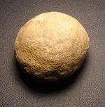 DSCN1014.webp