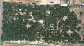cob area - bc-pccvanwilder.webp