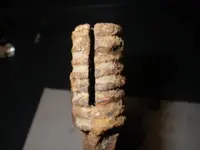 IMGP2000.webp