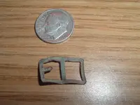 tiny 2.webp