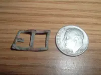 tiny.webp