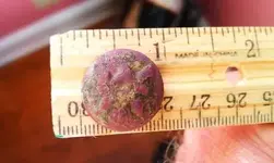 Copy of IMAG0638.webp