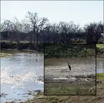 River 2.webp