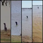 Lake 7.webp