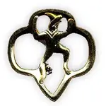 brownie pin.webp