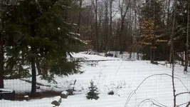 Darn now there is snow in NH, 12-23-11.webp