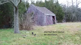 Dec 2011 coppers 007.webp