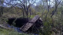 2011-11-27_12-47-14_16.webp