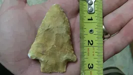 spearpoint beach find.webp
