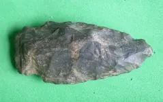 Black Point.webp