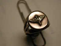 DSCN5194.webp