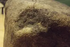 DSCF3239.webp