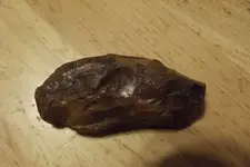 DSCF3241.webp