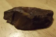 DSCF3242.webp