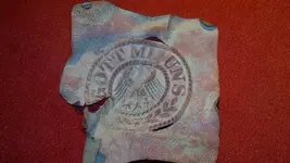 5 007_800_450.webp