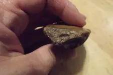 DSCF3245.webp