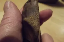 DSCF3246.webp