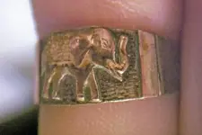 elephant ring.webp