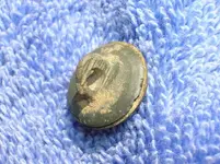 Mated buttons.jpg.webp Mated buttons.jpg.webp