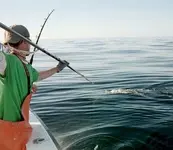 Harpoon For Marlin.webp