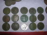 DSCN5403.webp
