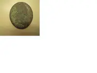 Hib-f.webp
