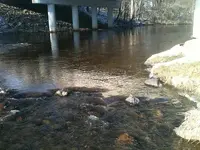 photo1.webp