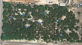 cob area - bcdowsed.webp