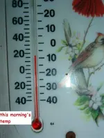 DSCF1281.webp