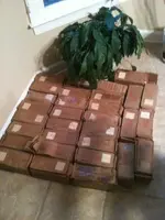1970 Pennies.webp